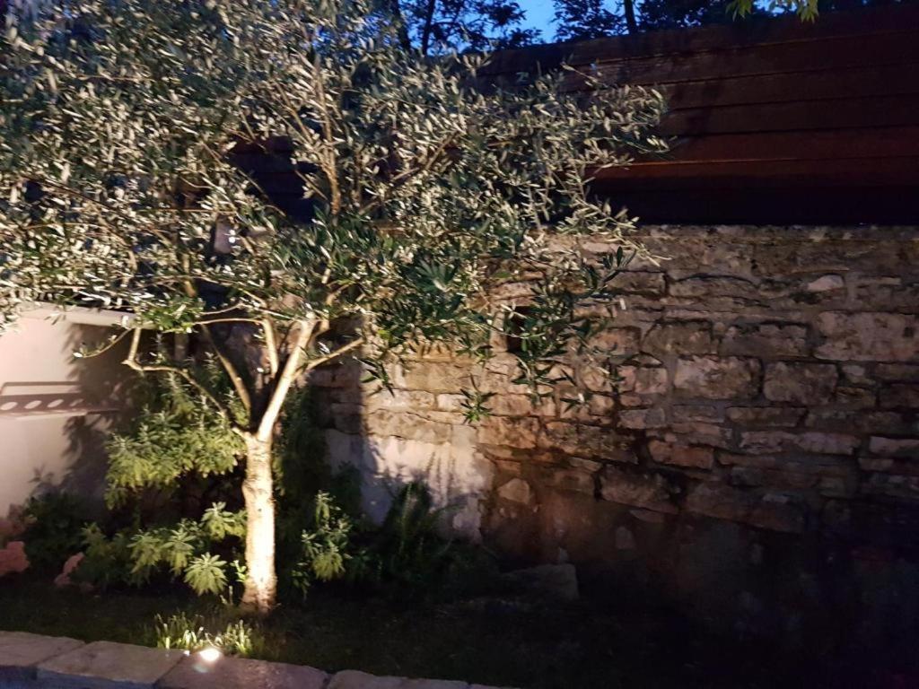 Haus Delma Vila Brajkovici  Exterior foto